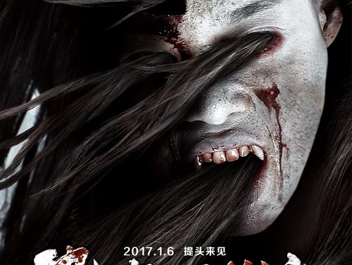 高仿假爱尔兰护照电子版